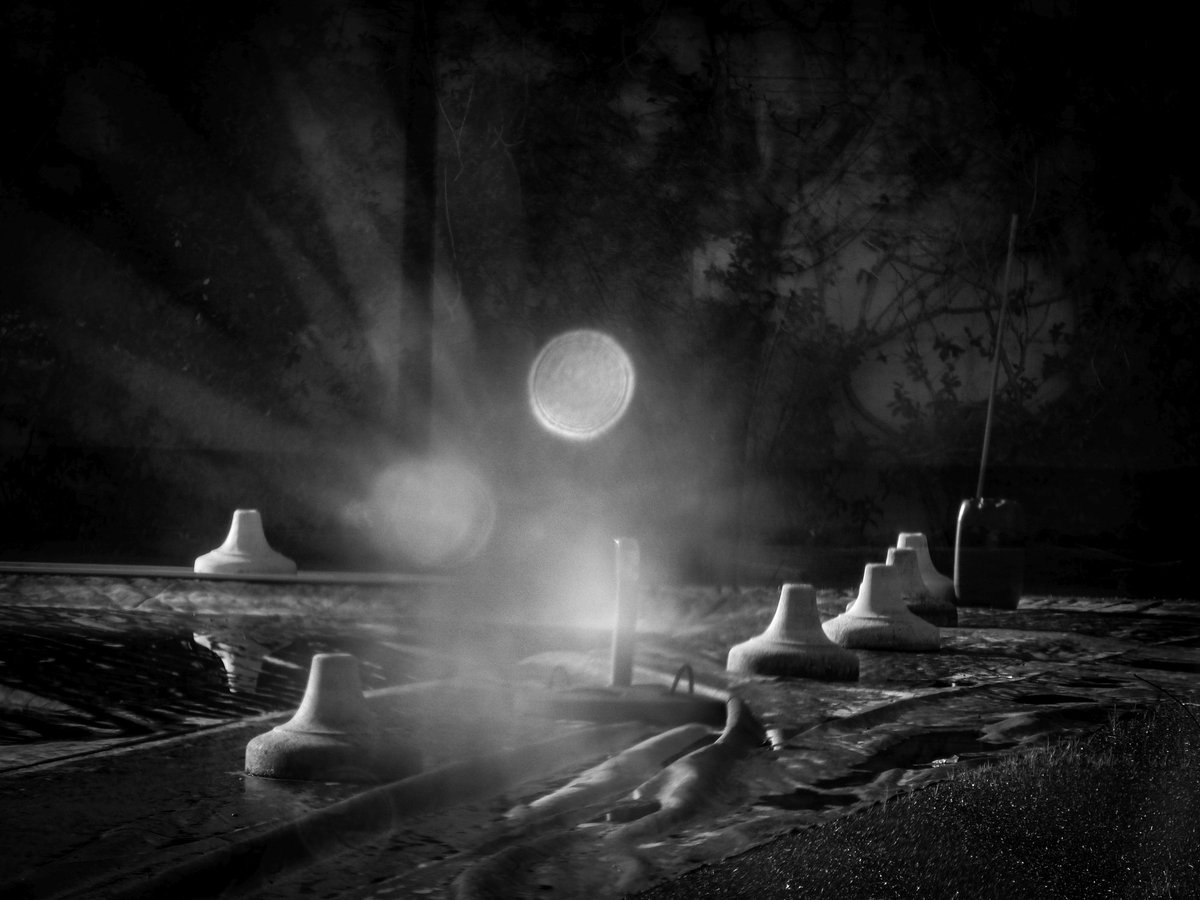Fotografia senza titolo, di Massimo Renzi