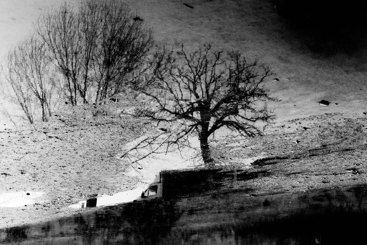 Fotografia senza titolo, di Delia Biele