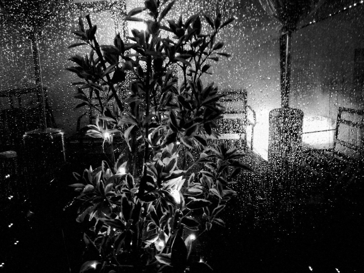 Fotografia senza titolo, di Massimo Renzi