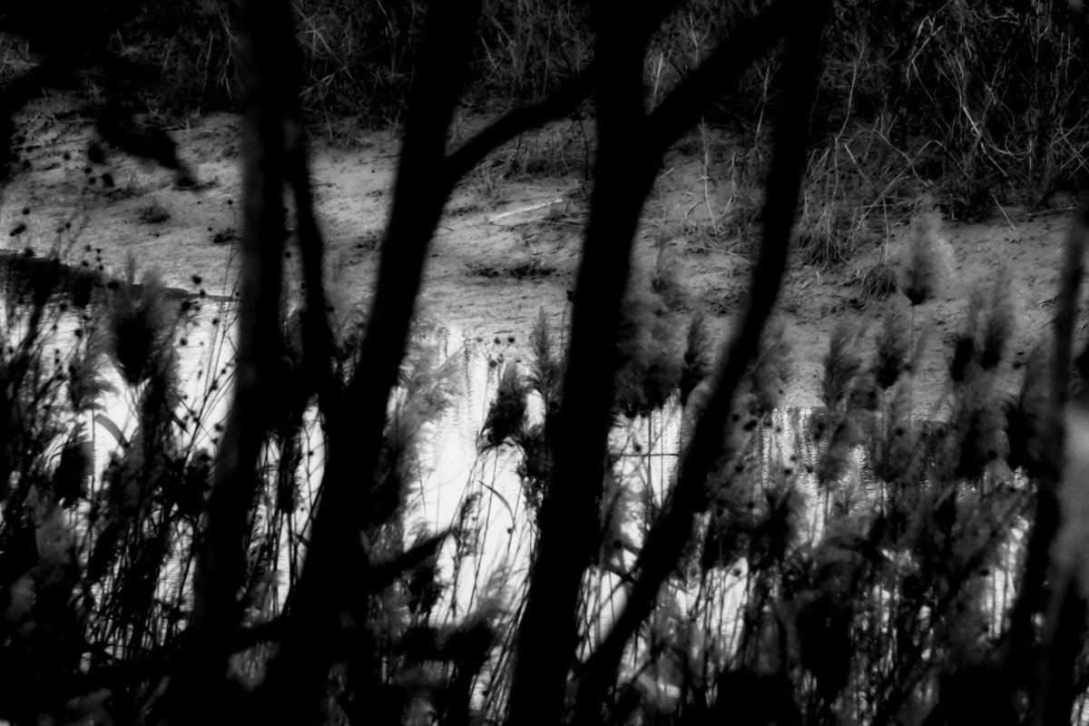 Fotografia senza titolo, di Delia Biele