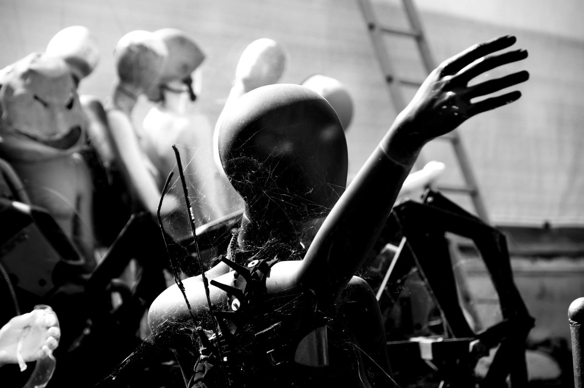 Comparse, di Morena Giraldi