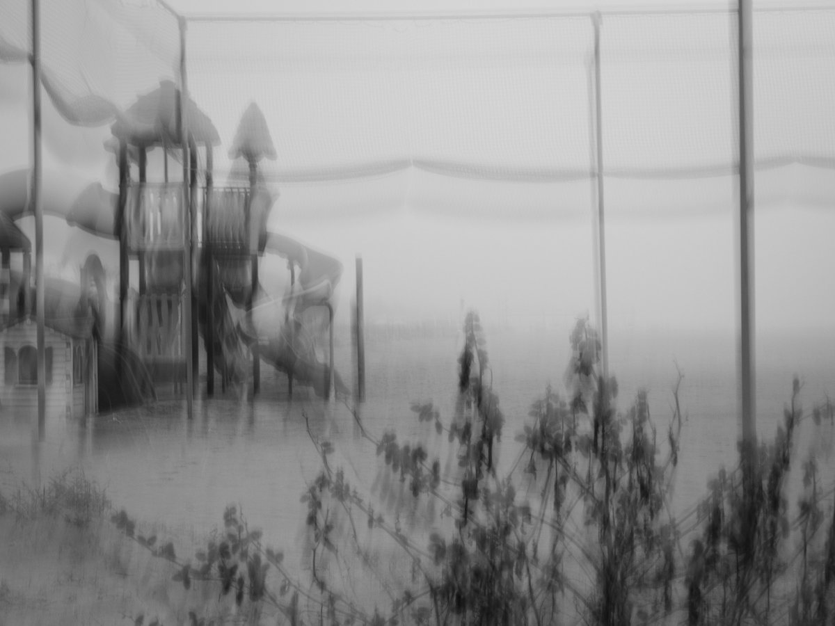 Fotografia senza titolo, di Massimo Renzi