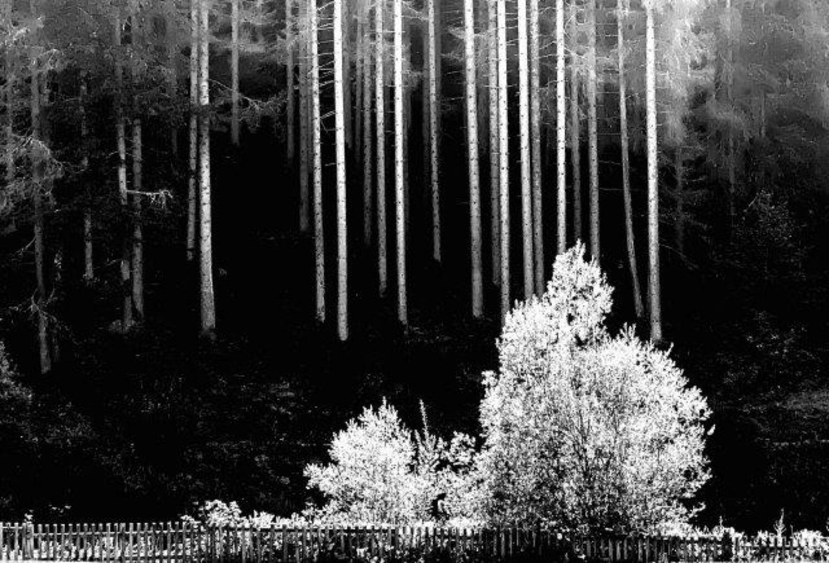 Fotografia senza titolo, di Enzo Carli