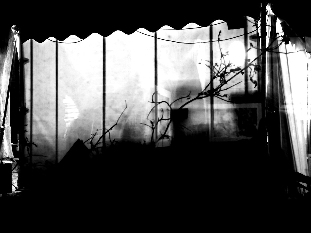 Fotografia senza titolo, di Massimo Renzi