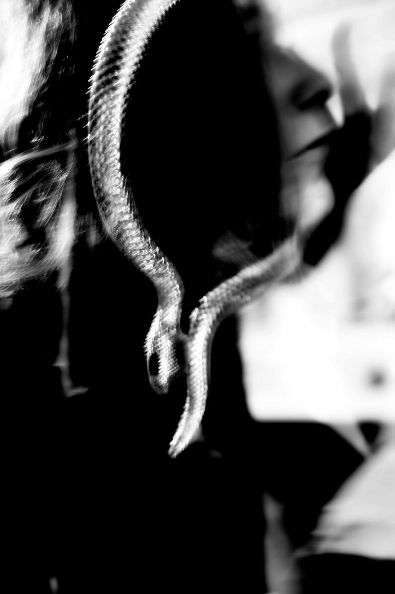 Fotografia senza titolo, di Delia Biele