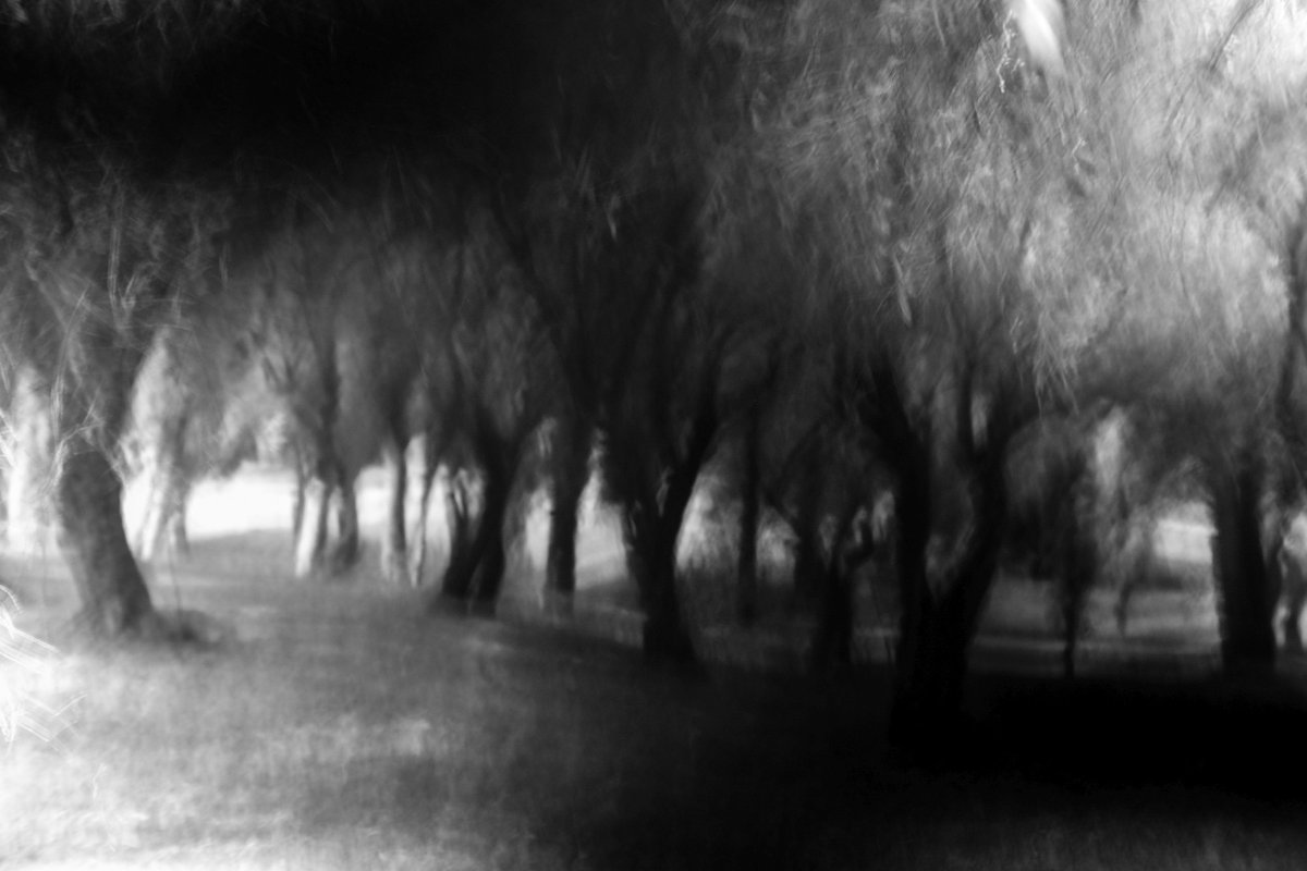Fotografia senza titolo, di Massimo Renzi