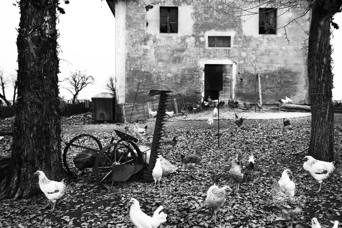 Fotografia senza titolo, di Loriano Brunetti