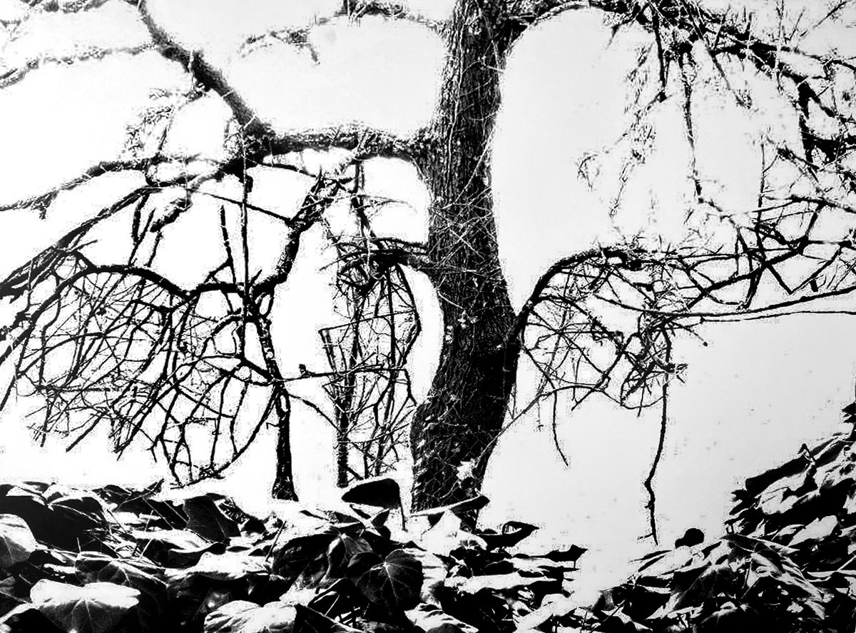 Fotografia senza titolo, di Enzo Carli