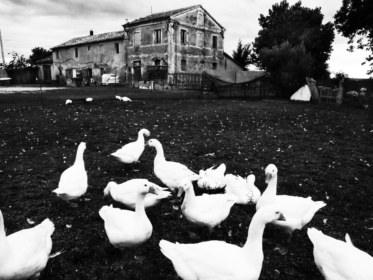 Fotografia senza titolo, di Loriano Brunetti