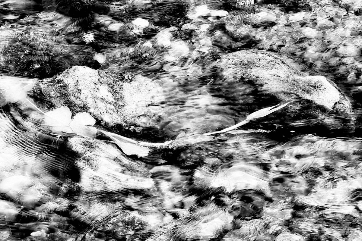 Fotografia senza titolo, di Delia Biele