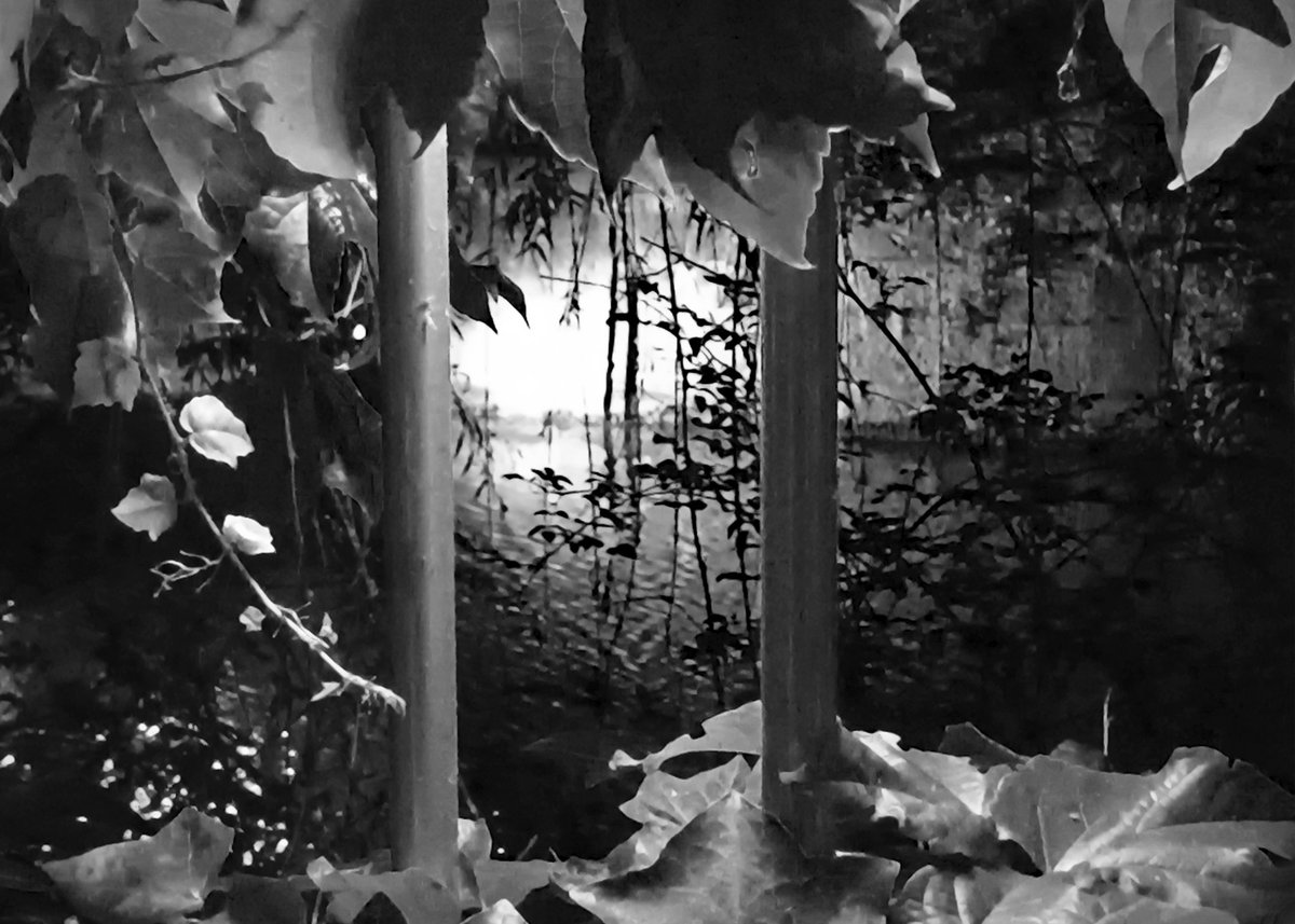 Fotografia senza titolo, di Massimo Renzi