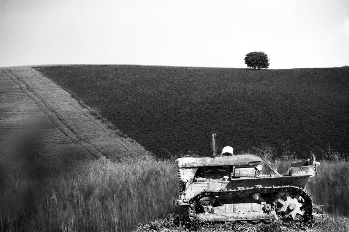 Fotografia senza titolo, di Loriano Brunetti