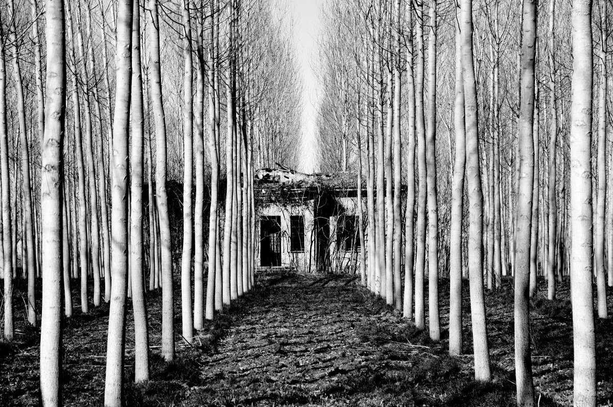 Fotografia senza titolo, di Loriano Brunetti