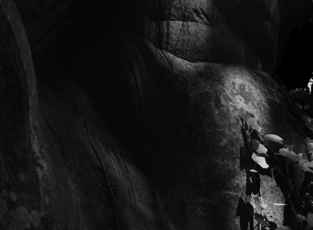 Fotografia senza titolo, di Massimo Renzi