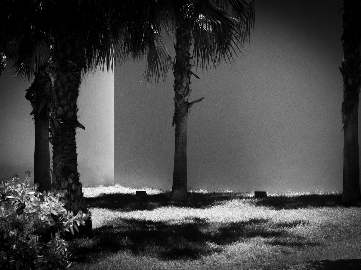 Fotografia senza titolo, di Massimo Renzi