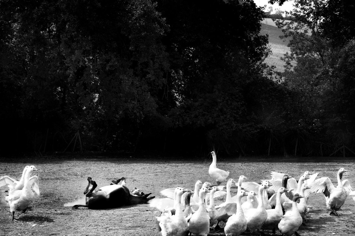 Fotografia senza titolo, di Loriano Brunetti