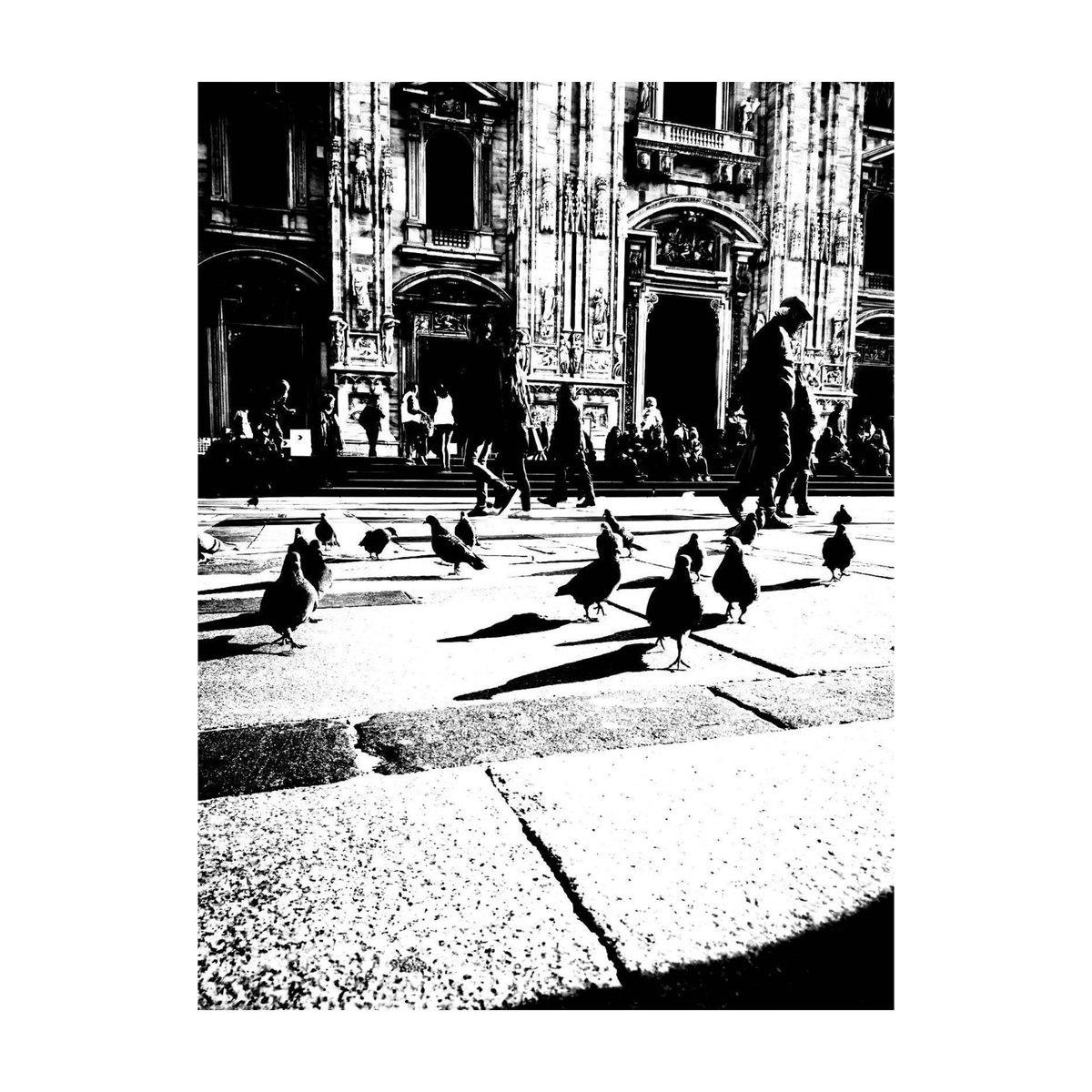Fotografia senza titolo, di Maurizio Tomassini