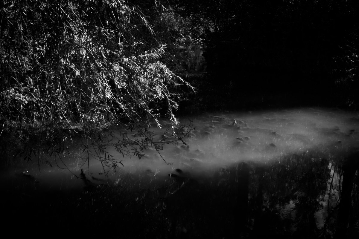 Fotografia senza titolo, di Massimo Renzi