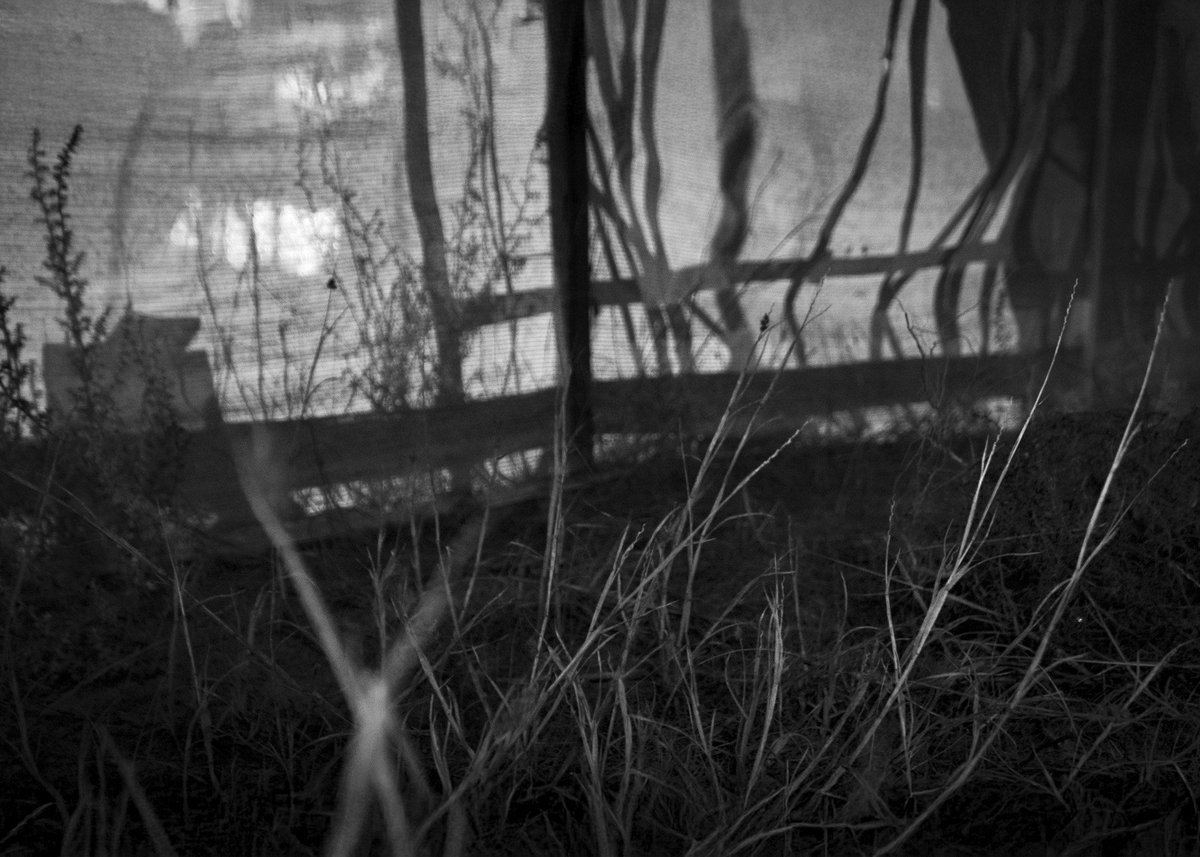 Fotografia senza titolo, di Massimo Renzi