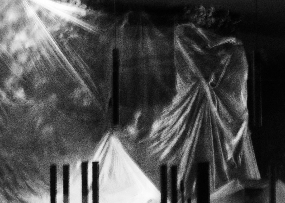 Fotografia senza titolo, di Massimo Renzi