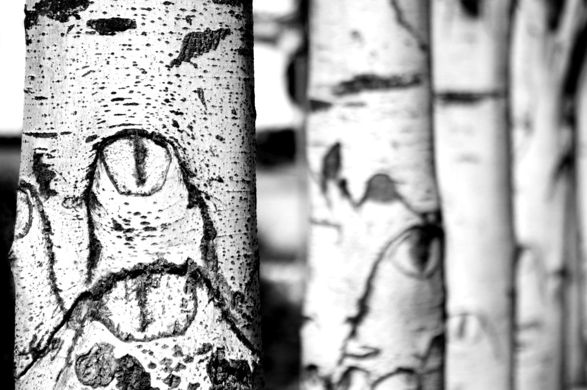 Natura(l)mente, di Morena Giraldi