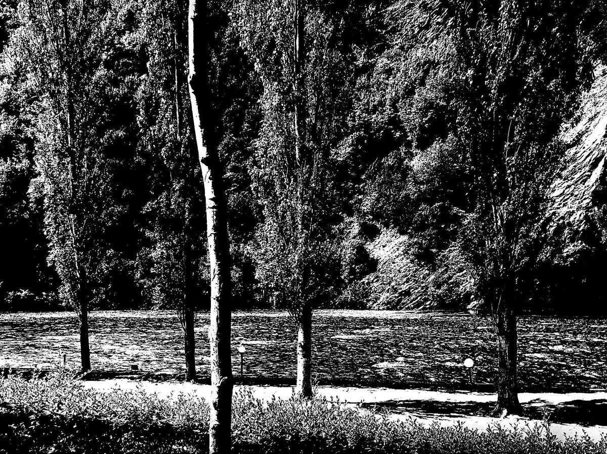 Fotografia senza titolo, di Enzo Carli