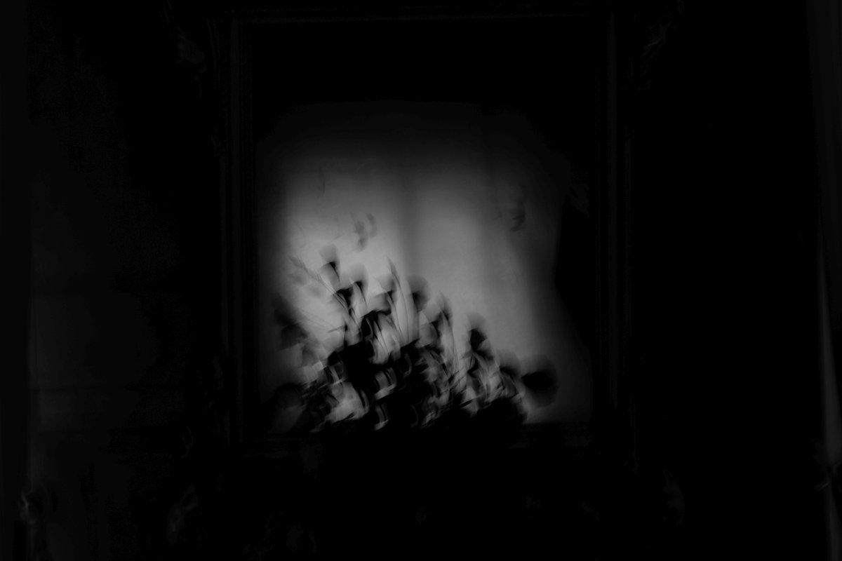 Fotografia senza titolo, di Massimo Renzi