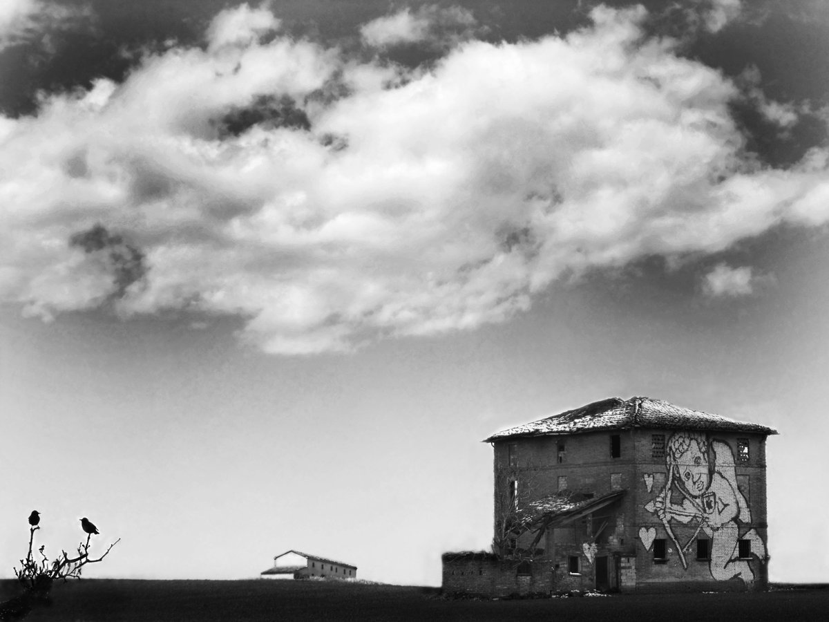 Fotografia senza titolo, di Loriano Brunetti