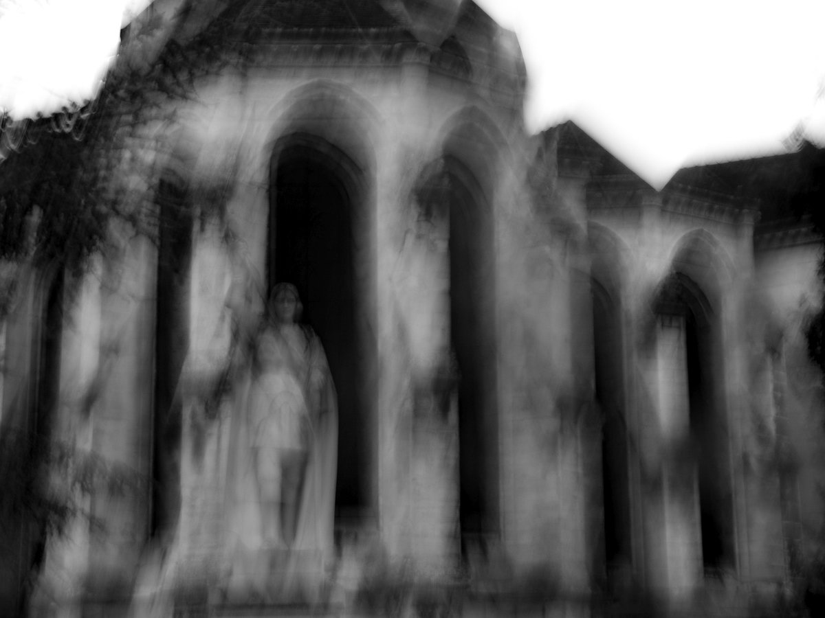 Fotografia senza titolo, di Massimo Renzi