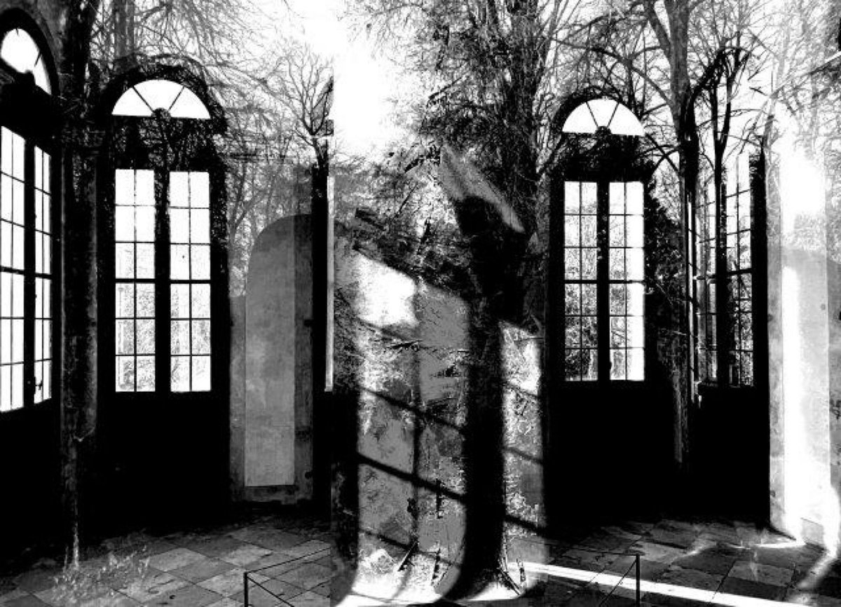 Fotografia senza titolo, di Enzo Carli