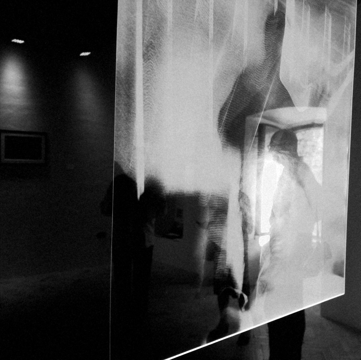 Fotografia senza titolo, di Massimo Renzi