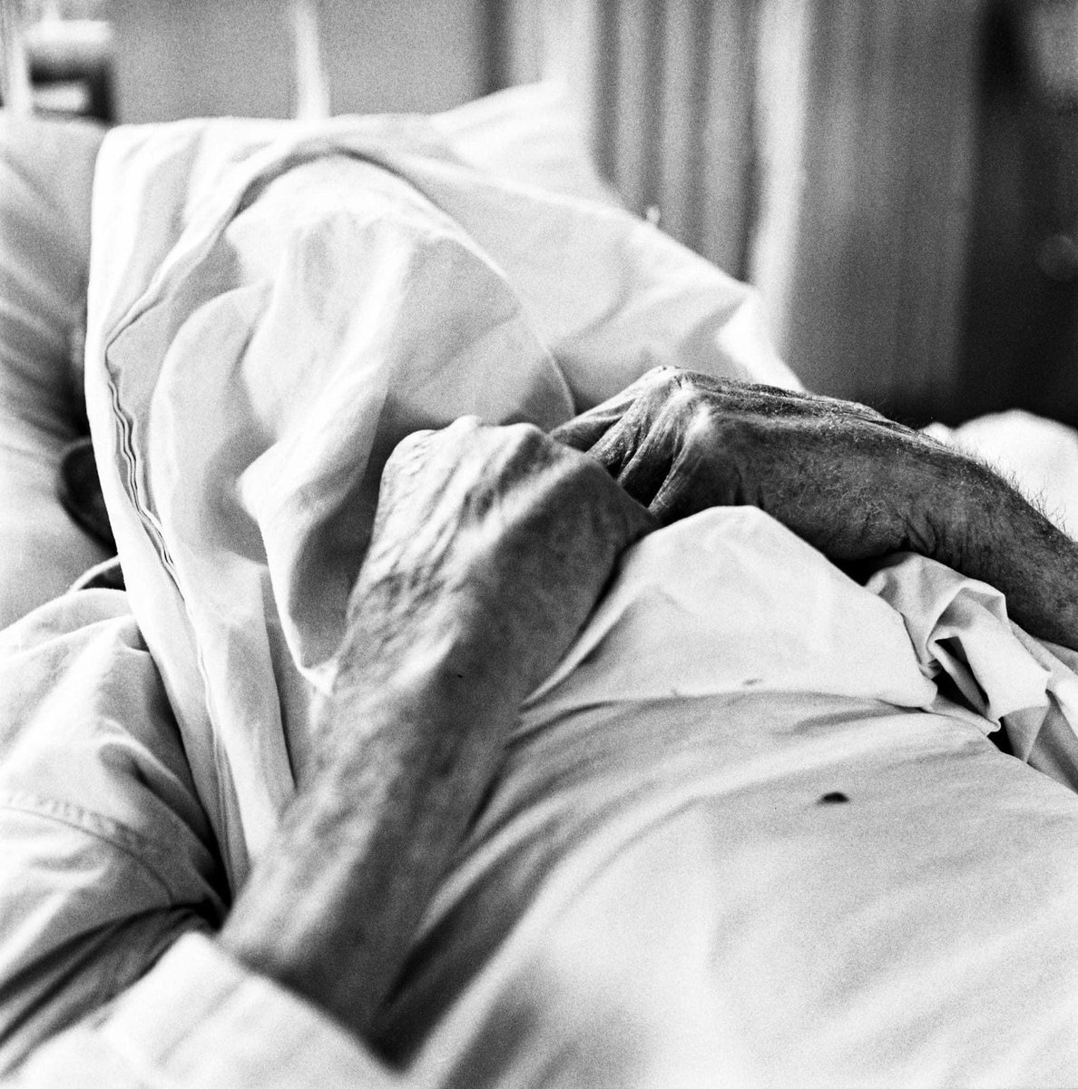 Fotografia senza titolo, di Maurizio Tomassini