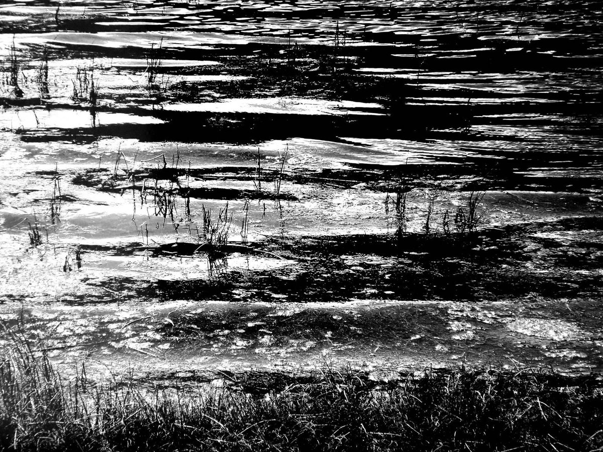 Fotografia senza titolo, di Enzo Carli