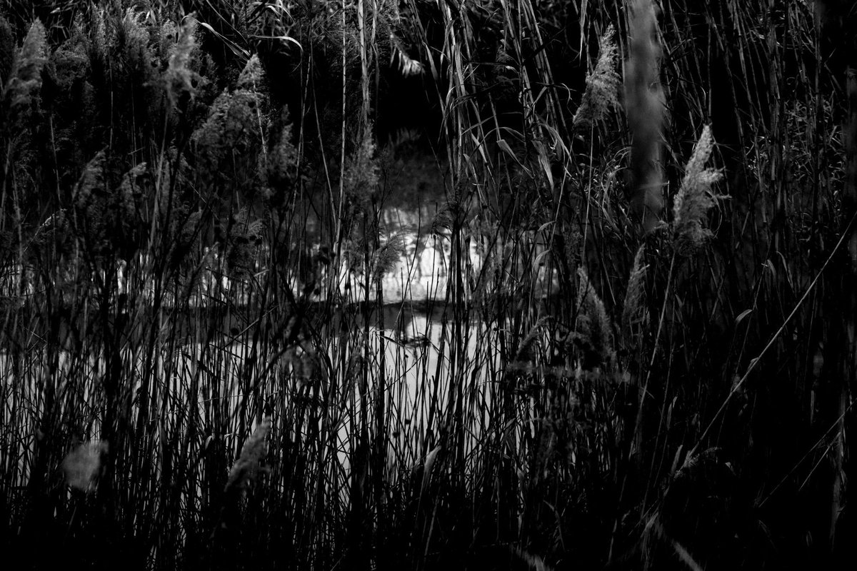 Fotografia senza titolo, di Delia Biele