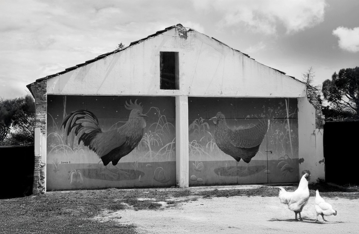 Fotografia senza titolo, di Loriano Brunetti
