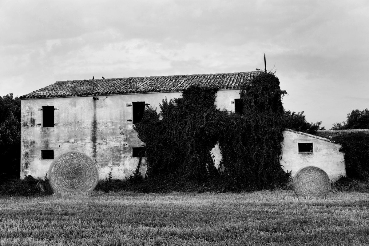 Fotografia senza titolo, di Loriano Brunetti