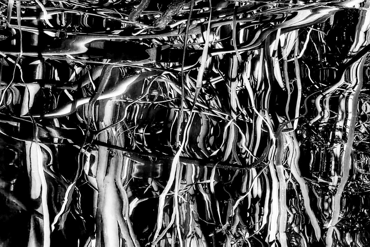 Fotografia senza titolo, di Delia Biele