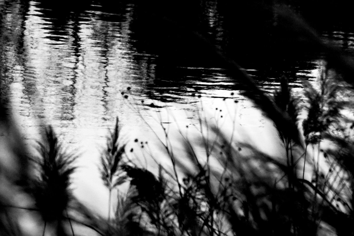 Fotografia senza titolo, di Delia Biele