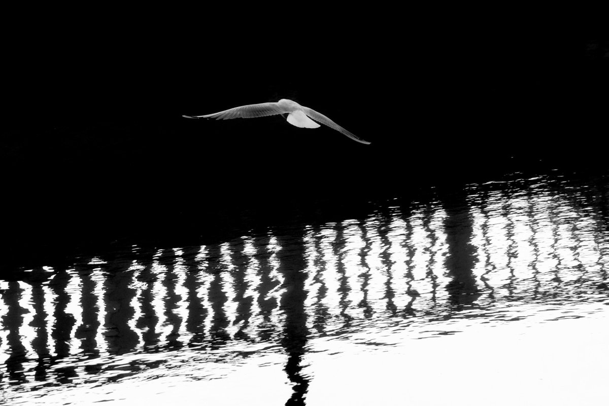 Fotografia senza titolo, di Delia Biele