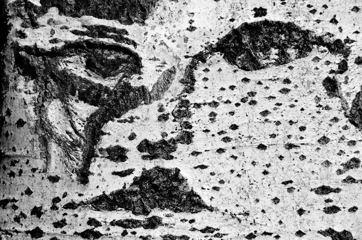 Natura(l)mente, di Morena Giraldi