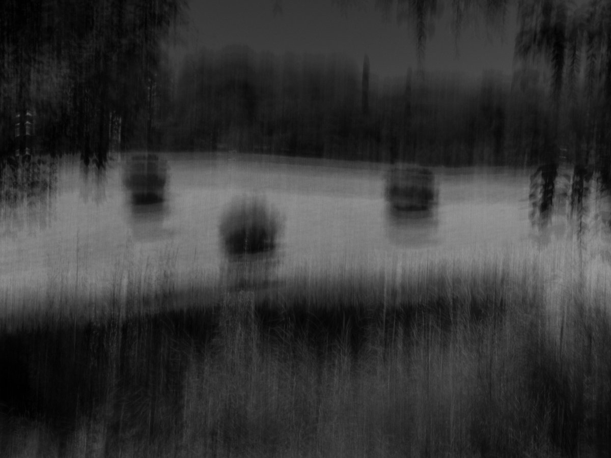 Fotografia senza titolo, di Massimo Renzi