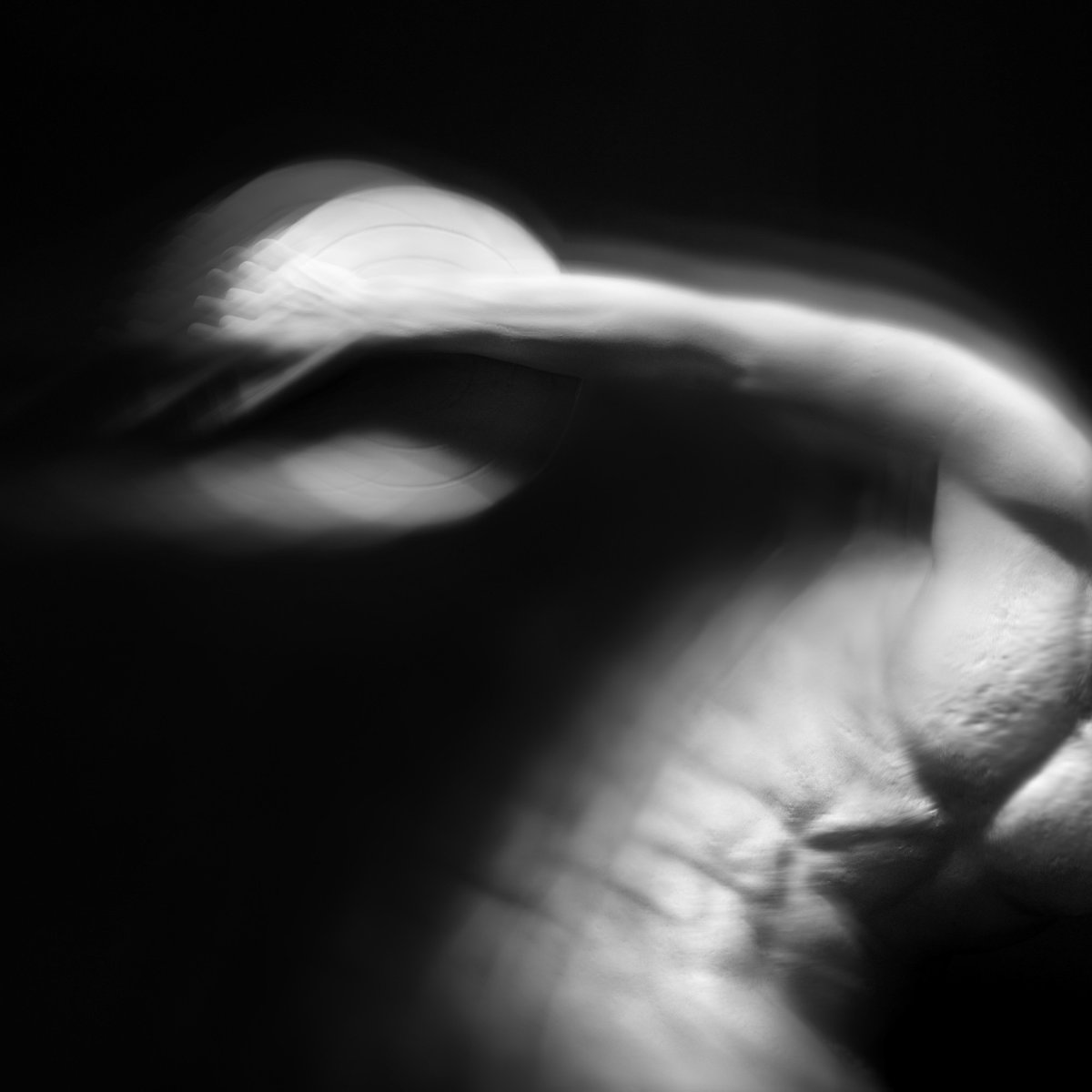 ECHOES Respiri della materia, di Marco Melchiorri