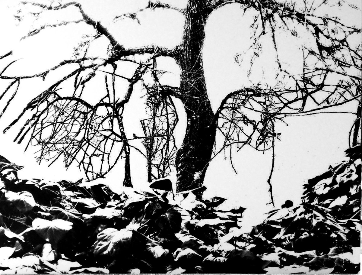 Fotografia senza titolo, di Enzo Carli
